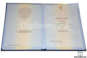 купить диплом переводчика 2010-2011